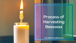 Why Are Beeswax Candles Bad?