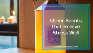 What Candle Smell Relieves Stress Best?
